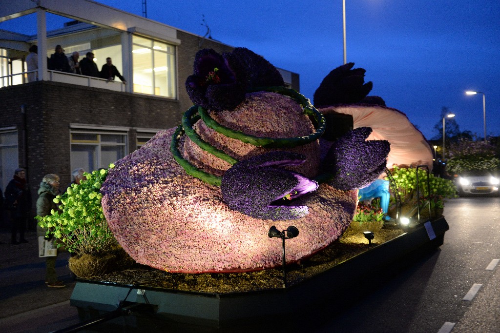 ../Images/Bloemencorso Noordwijkerhout 145.jpg